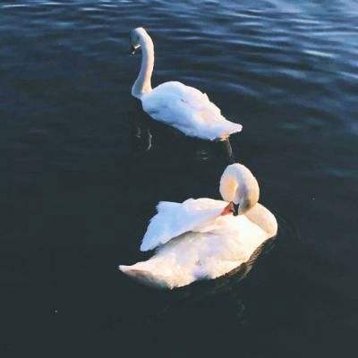 开全站登录app手机app下载