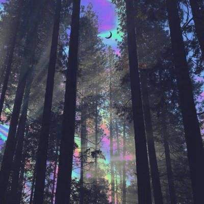 星空体育2024下载截图