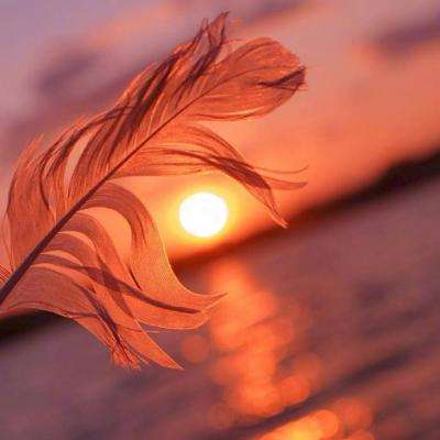 博盈体育软件下载官网