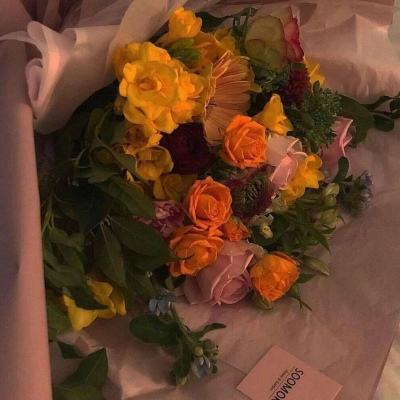 风云体育app下载官网