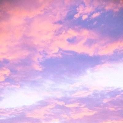 星空体育2024下载截图