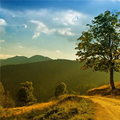 威尼斯欢乐娱人棋牌app下载