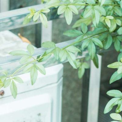 澳门正版资料大全截图