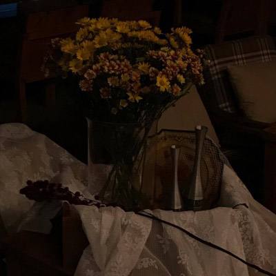 金沙集团186cc成色官方版下载